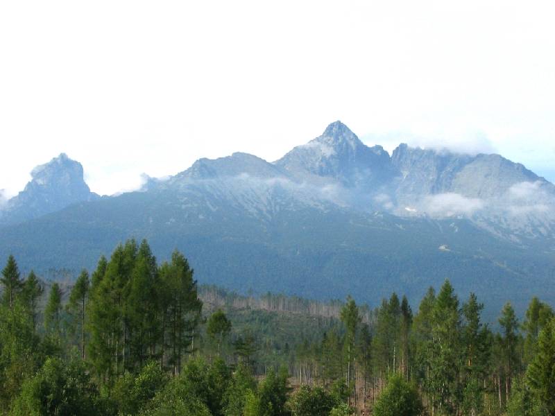 Original image