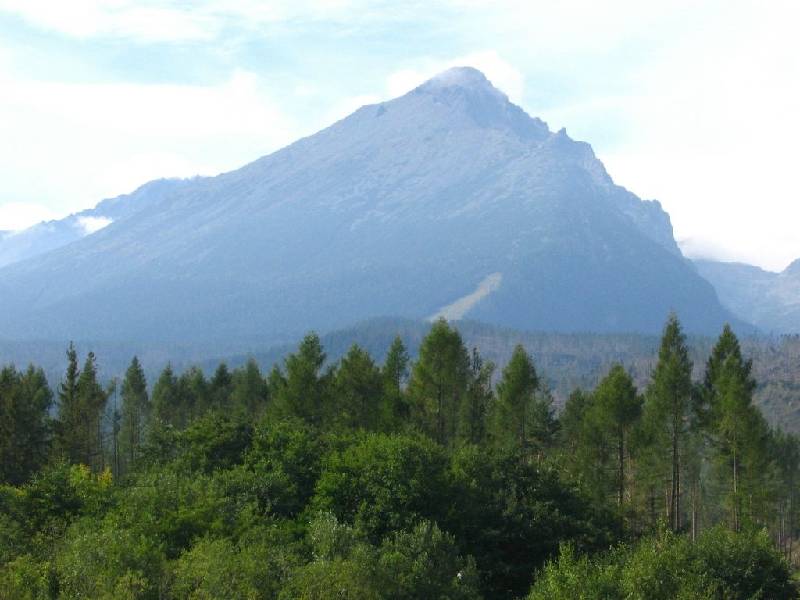 Original image