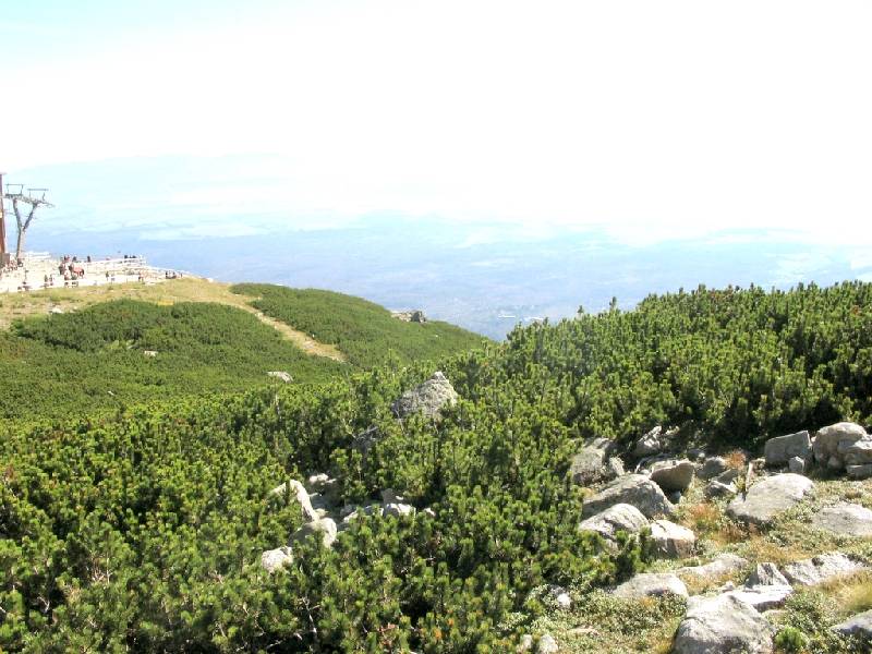 Original image