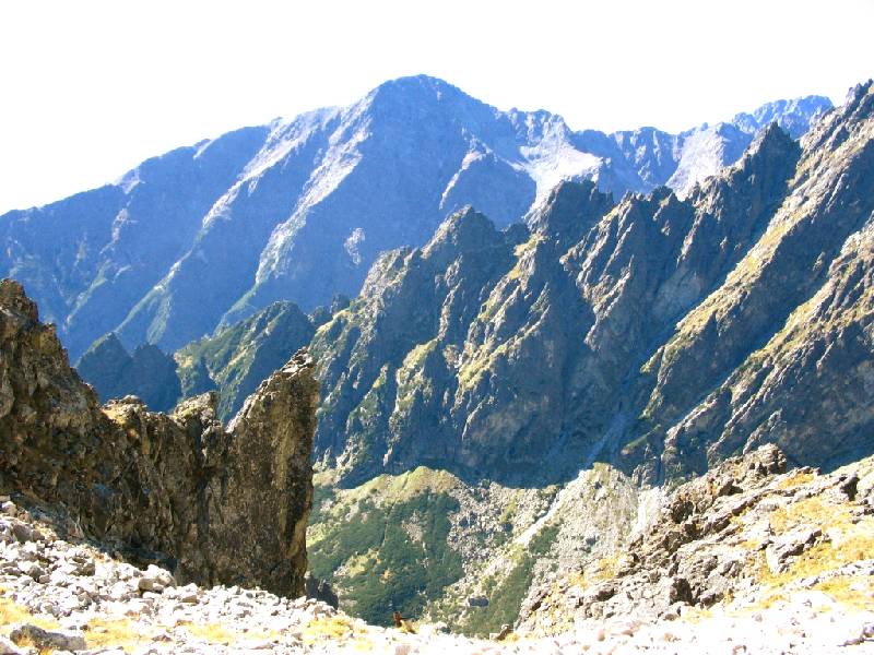 Original image